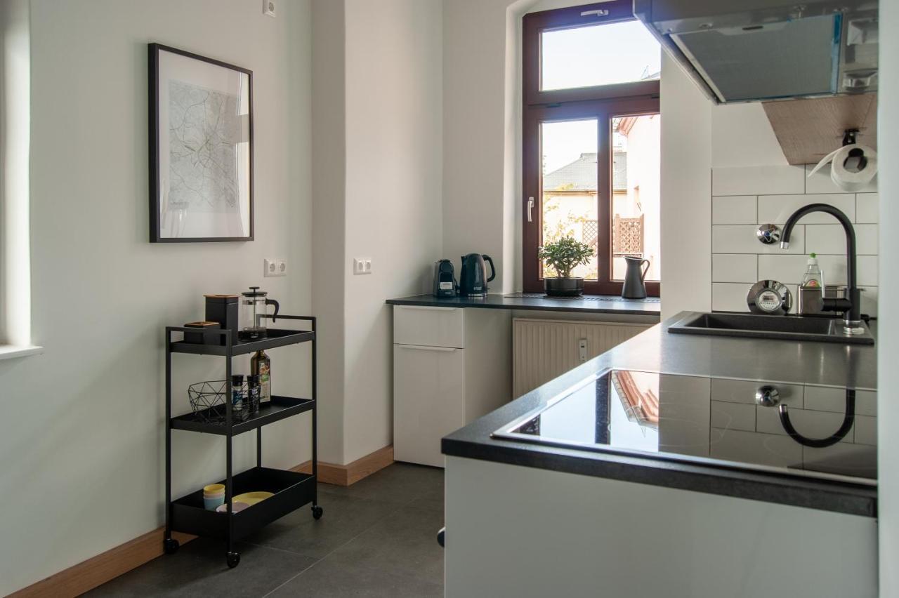 Grosse Familienfreundliche Wohnung In Dresden Dış mekan fotoğraf