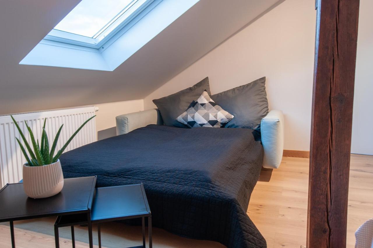 Grosse Familienfreundliche Wohnung In Dresden Dış mekan fotoğraf