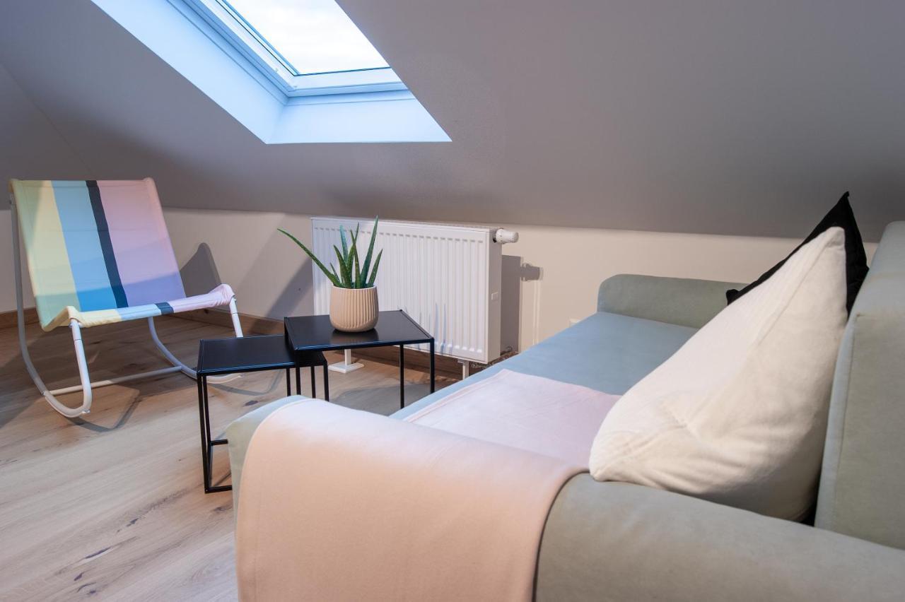 Grosse Familienfreundliche Wohnung In Dresden Dış mekan fotoğraf